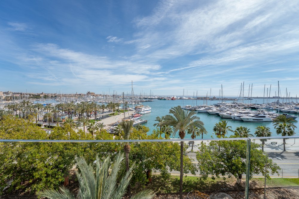 Apartment in Palma, Balearic Islands, Spain 2 - 17014832