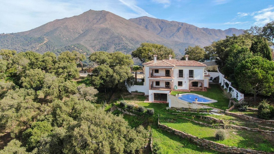 Finca in Casares, Andalusia, Spain 3 - 17017283