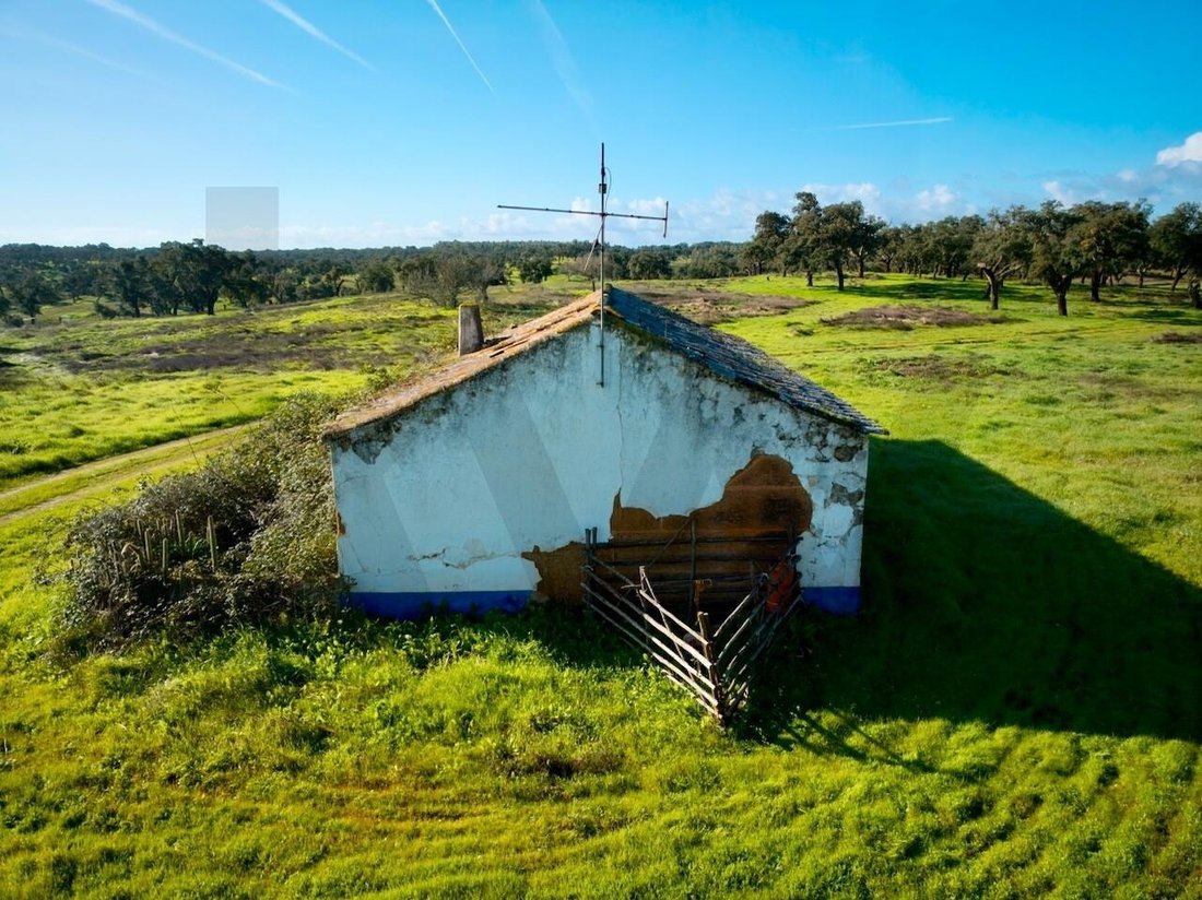 Farm Ranch in Sao Domingos e Vale de Agua, Setubal, Portugal 5 - 17017089