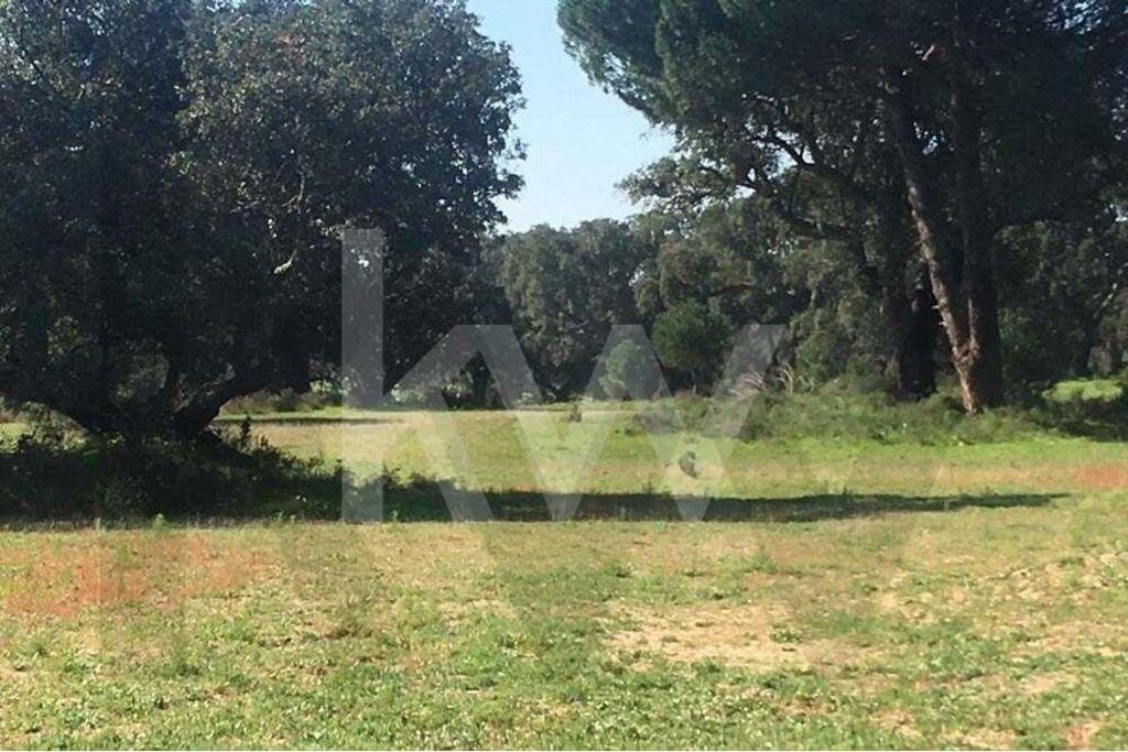 Terreno a Poceirao e Marateca, Setúbal Municipality, Portogallo 4 - 17017207