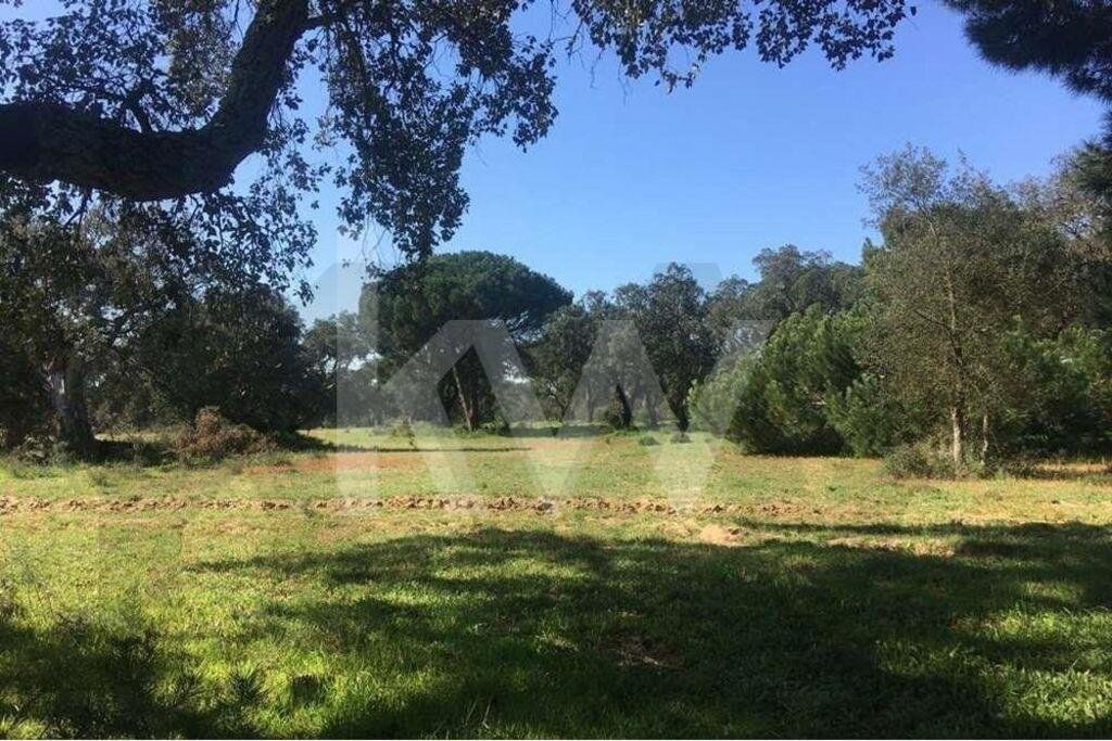 Terreno a Poceirao e Marateca, Setúbal Municipality, Portogallo 2 - 17017207