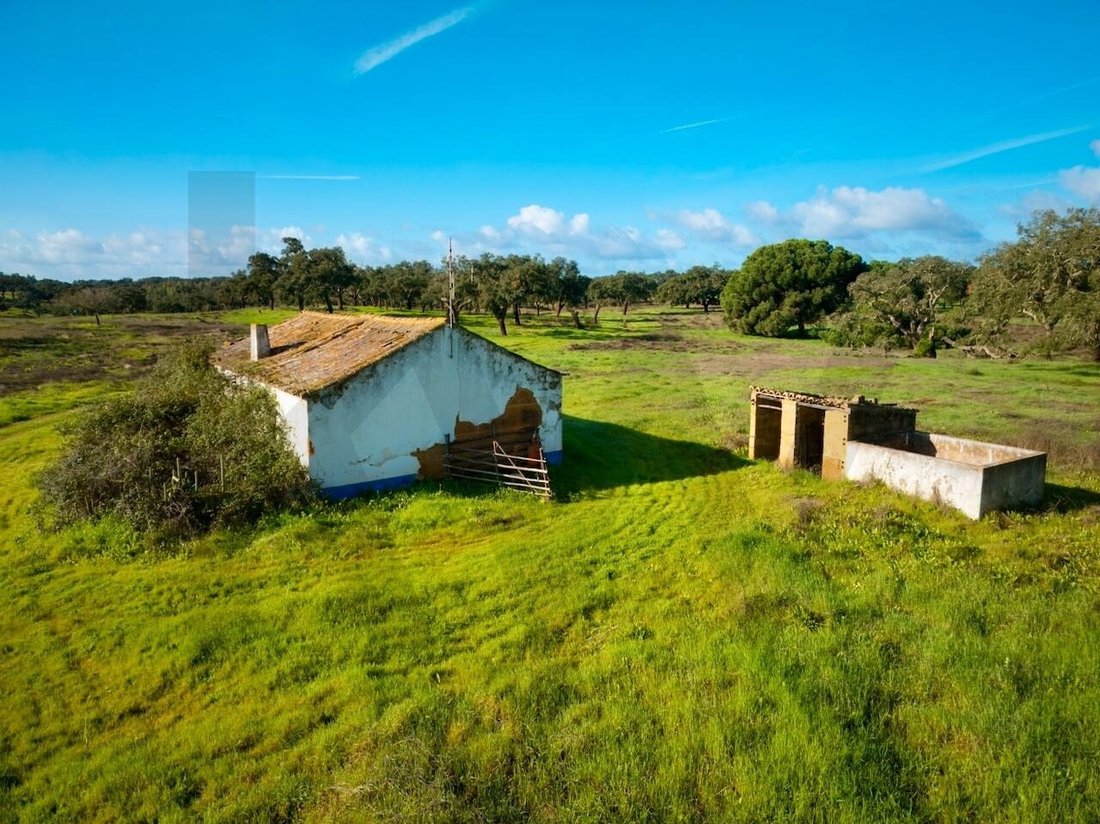 Farm Ranch in Sao Domingos e Vale de Agua, Setubal, Portugal 1 - 17017089