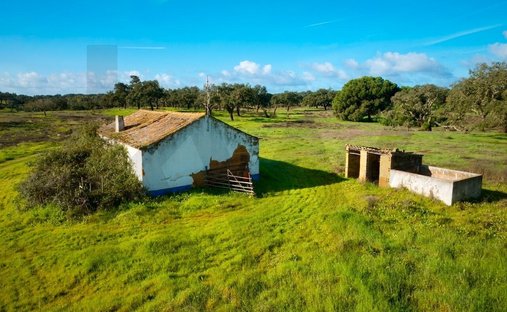 Azienda agricola a Sao Domingos e Vale de Agua, Setúbal Municipality, Portogallo 1