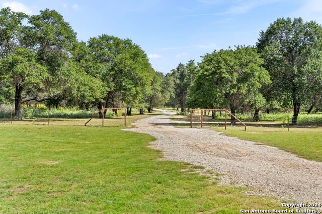 Farm Ranch in Fredericksburg, Texas, United States 3 - 17017178