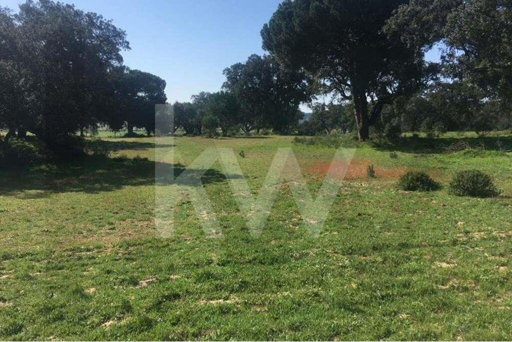 Terreno a Poceirao e Marateca, Setúbal Municipality, Portogallo 3 - 17017207
