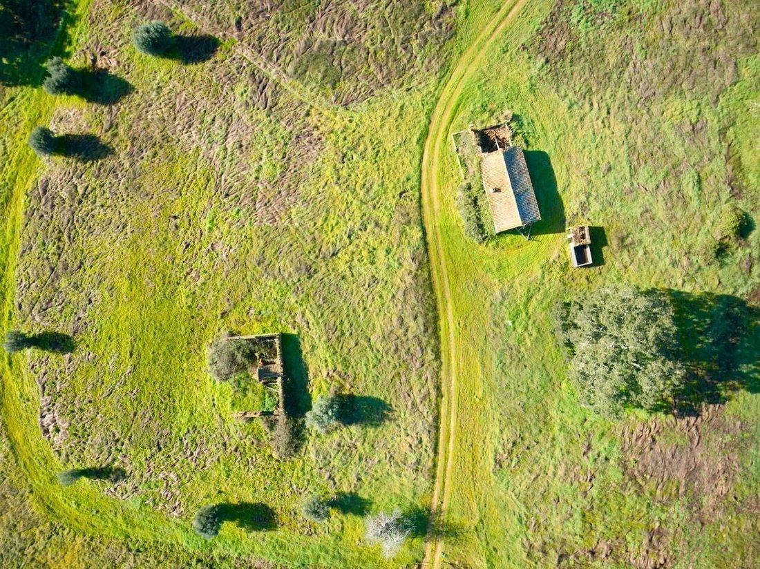 Farm Ranch in Sao Domingos e Vale de Agua, Setubal, Portugal 2 - 17017089