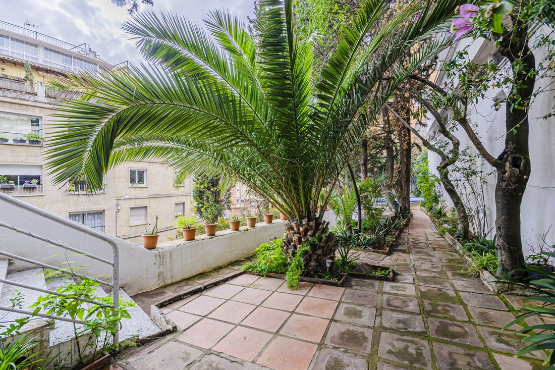 House in Ciutat Vella, Barcelona, Spain 5 - 14910715