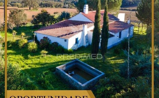 Azienda agricola a Sao Domingos e Vale de Agua, Setúbal Municipality, Portogallo 1