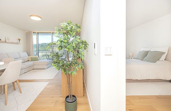 Apartment in Campolide, Lisbon, Portugal 5 - 17018750