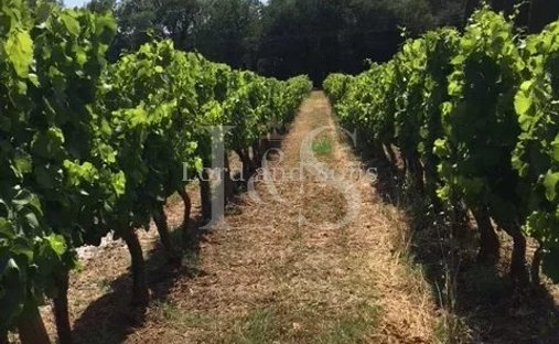 Provencal Farmhouse Of 277m² With Swimming Pool On Land Of Almost 2ha