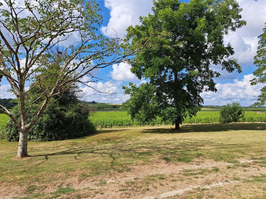Castle in Cadillac-sur-Garonne, Nouvelle-Aquitaine, France 4 - 17018650