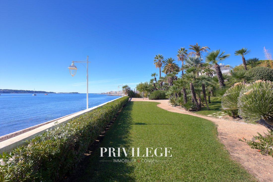 Apartment in Cannes, Provence-Alpes-Côte d'Azur, France 3 - 17018926
