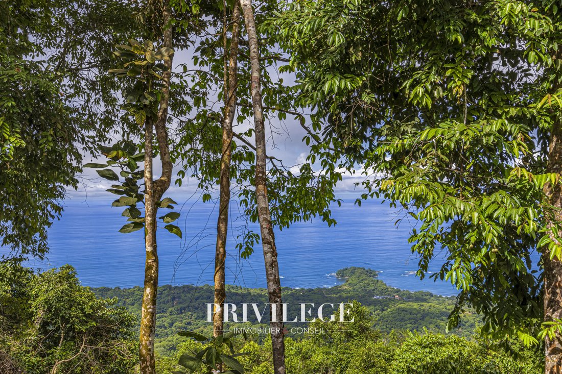 Villa in Quepos, Puntarenas Province, Costa Rica 3 - 17018540