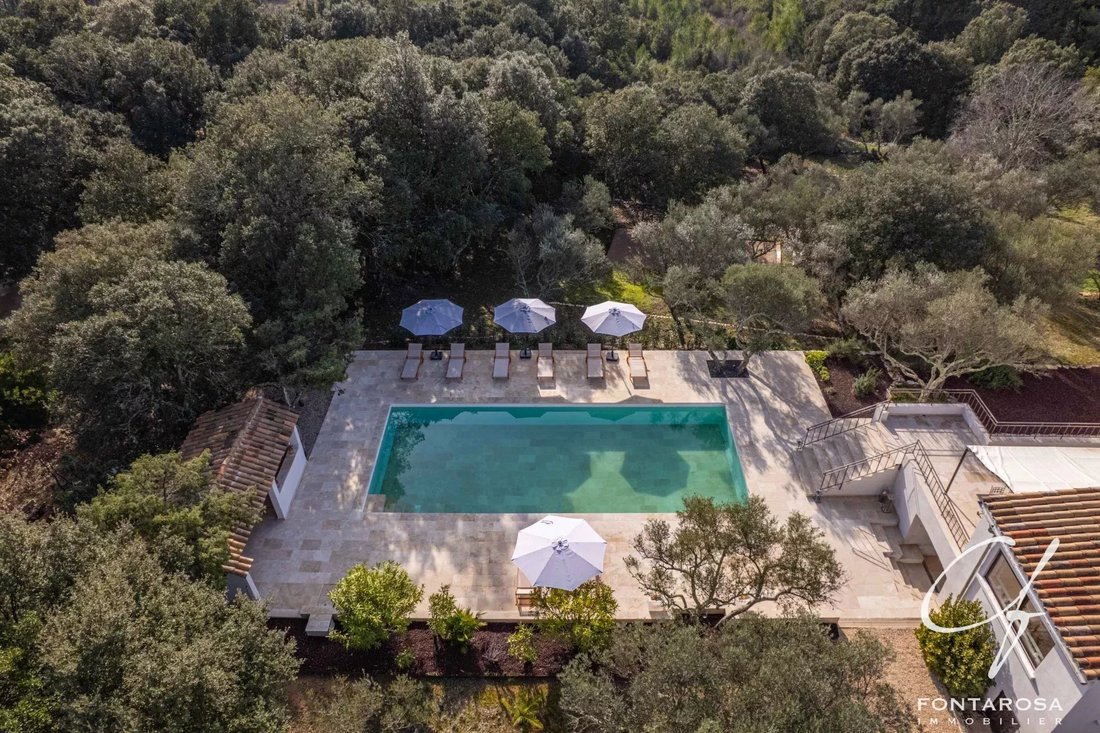 Villa in Le Thoronet, Provence-Alpes-Côte d'Azur, France 4 - 17020607