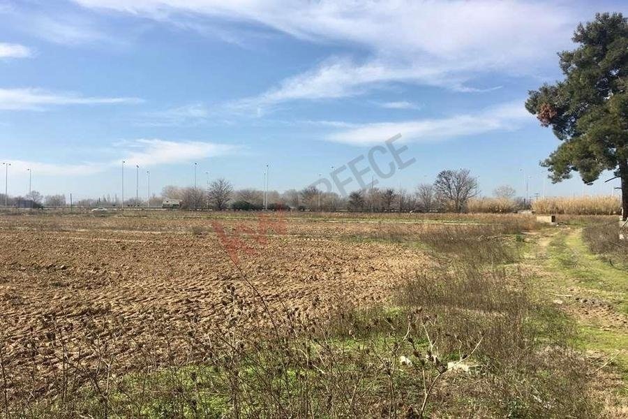 Land in Echedoros, Macedonia and Thrace, Greece 1 - 17020066