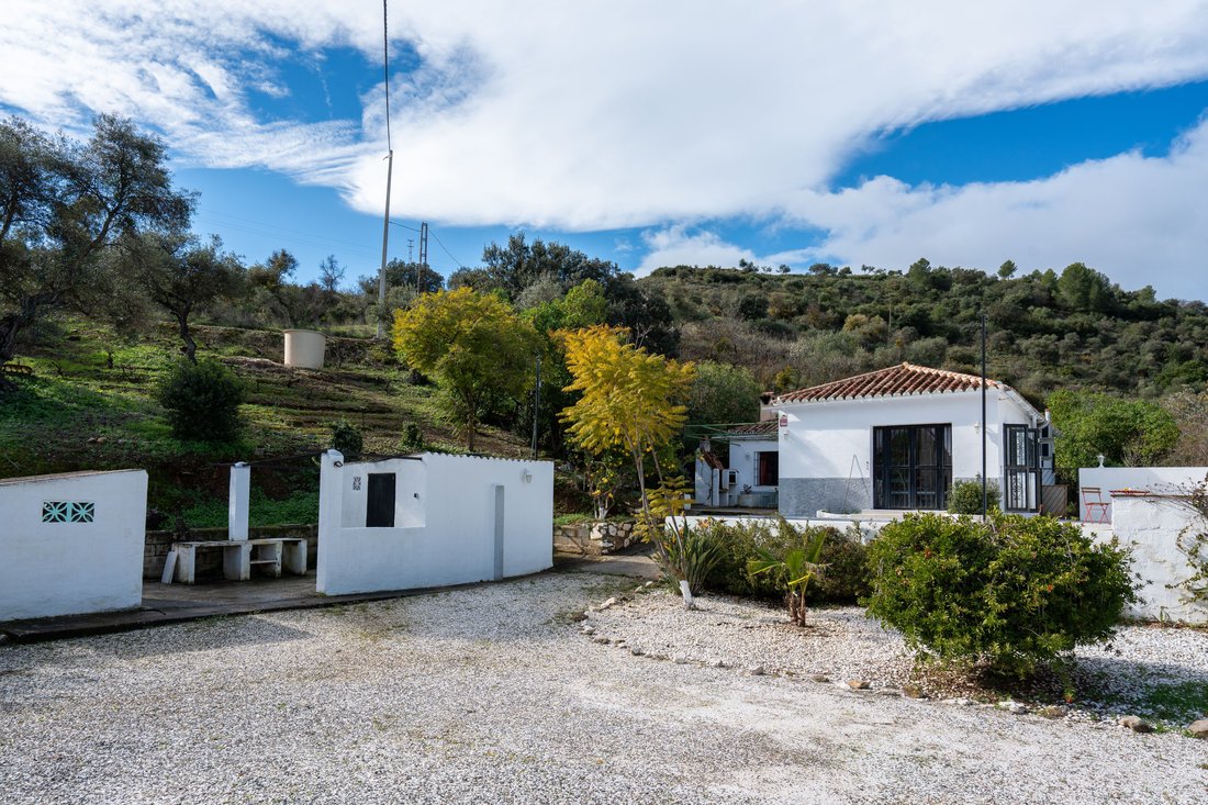 Land in Alhaurin el Grande, Andalusia, Spain 5 - 17020244