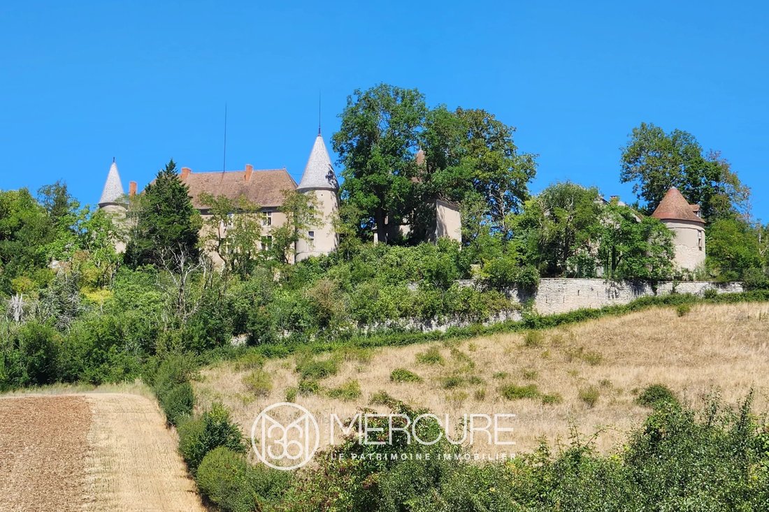 Castle in Ebreuil, Auvergne-Rhône-Alpes, France 3 - 15906366