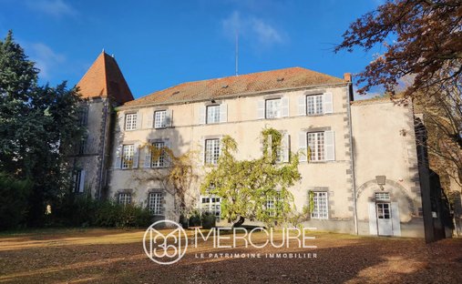 Castle in Zone d'Activité Nord, Riom, France 1