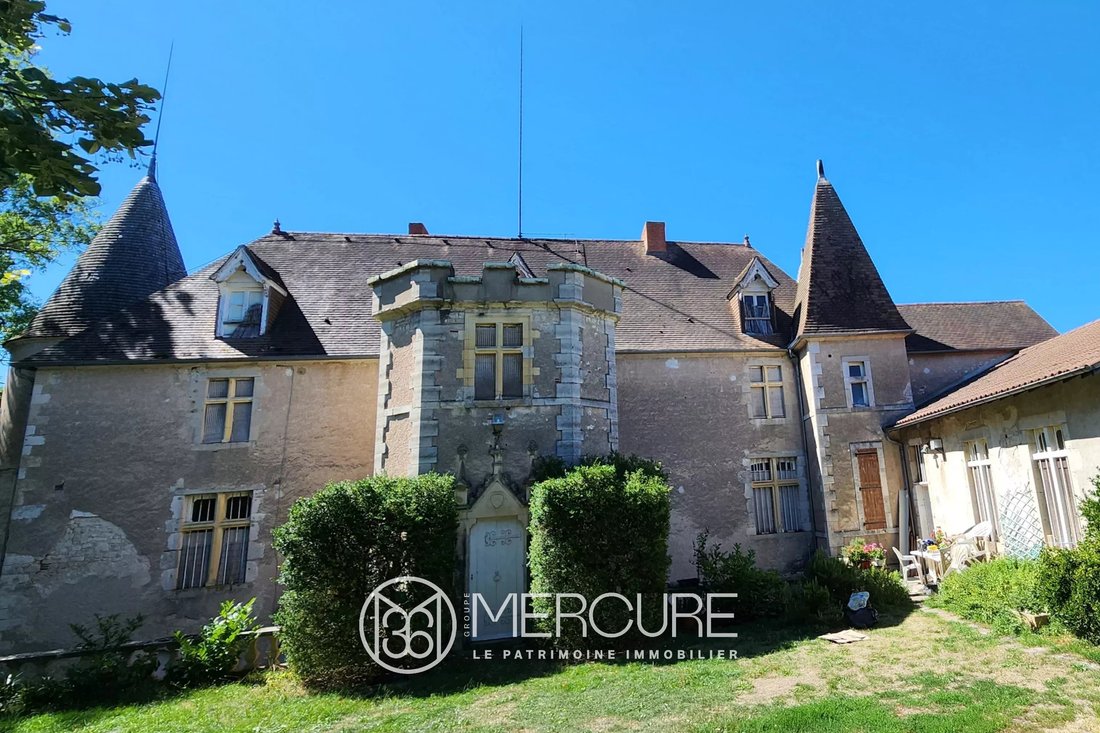 Castle in Ebreuil, Auvergne-Rhône-Alpes, France 1 - 15906366