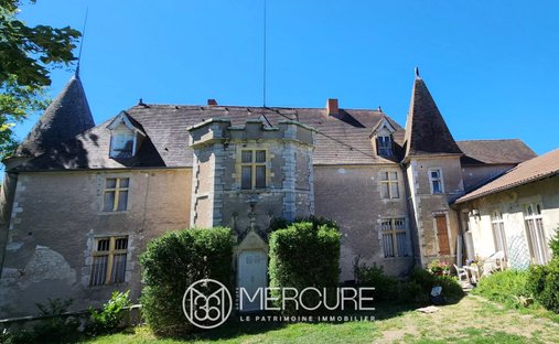 Castle in Ebreuil, Auvergne-Rhône-Alpes, France 1