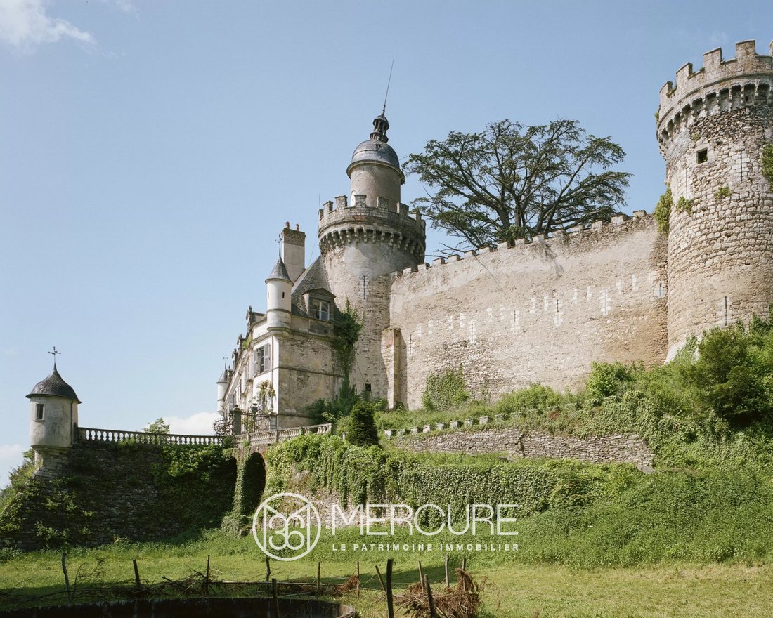 Castle in Veauce, Auvergne-Rhône-Alpes, France 3 - 16745711