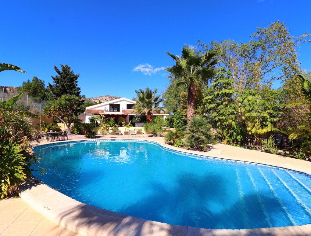 Country House in Aspe, Valencian Community, Spain 2 - 17020390