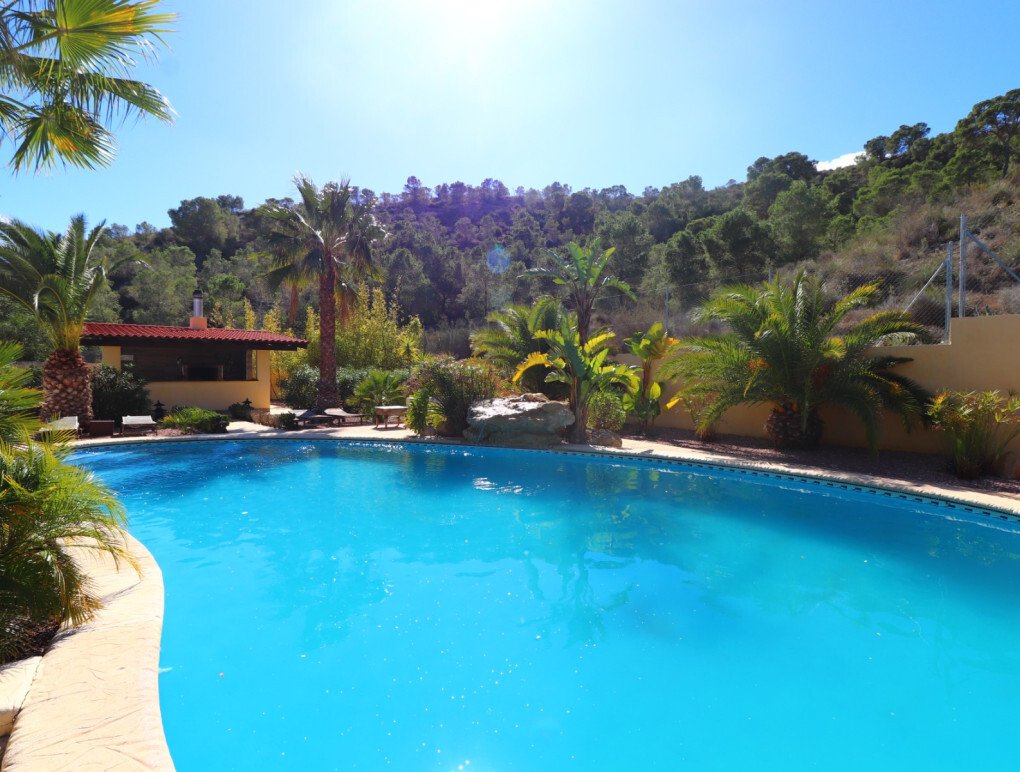Country House in Aspe, Valencian Community, Spain 3 - 17020390