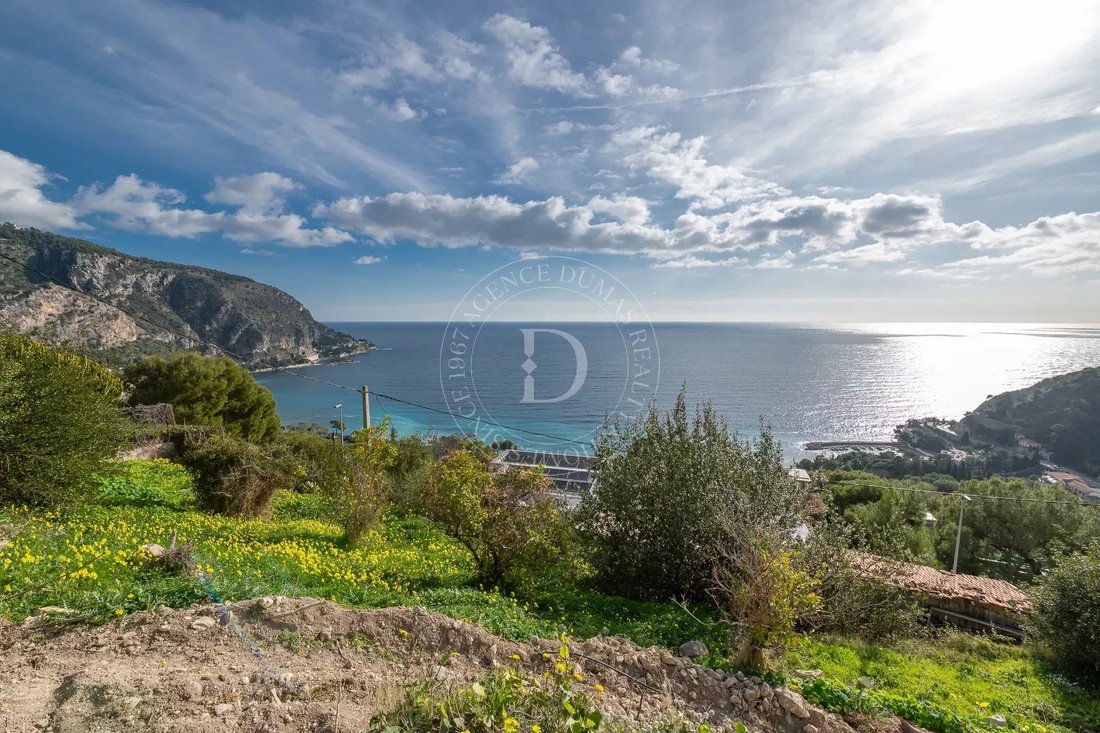 Land in Èze, Provence-Alpes-Côte d'Azur, France 2 - 17011053