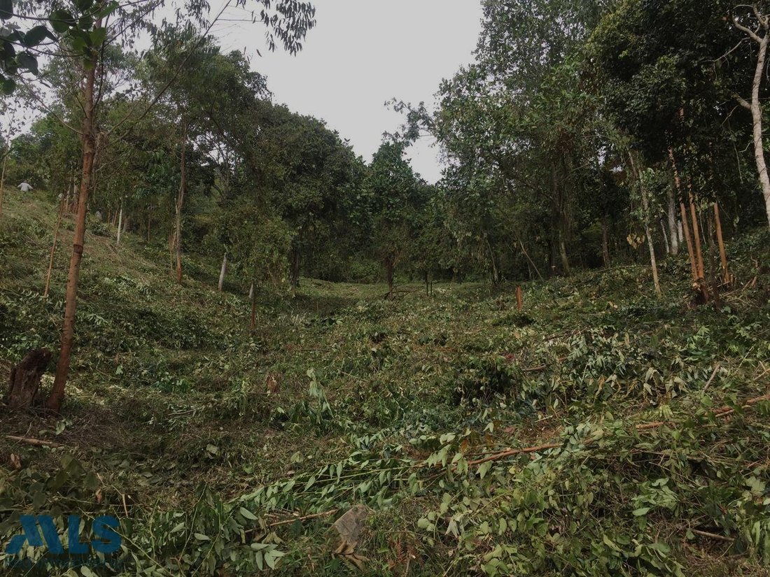 Land in Medellín, Antioquia, Colombia 5 - 17020215