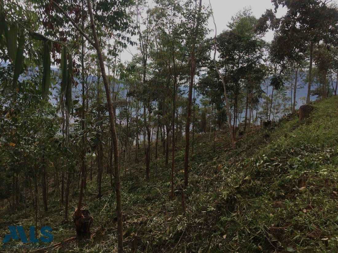 Land in Medellín, Antioquia, Colombia 3 - 17020215