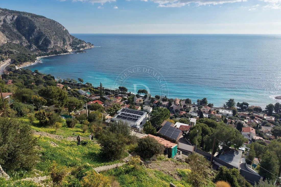Land in Èze, Provence-Alpes-Côte d'Azur, France 1 - 17011053