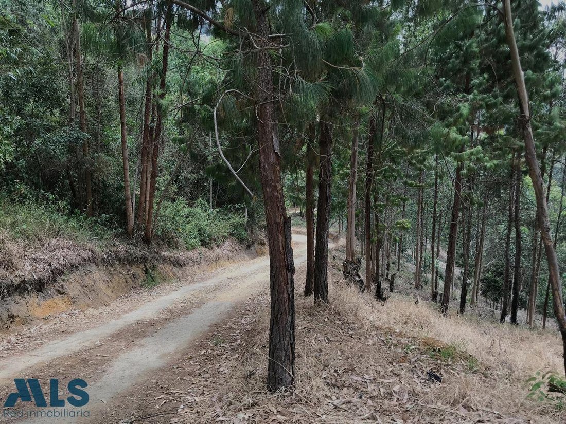 Land in Medellín, Antioquia, Colombia 2 - 17020215
