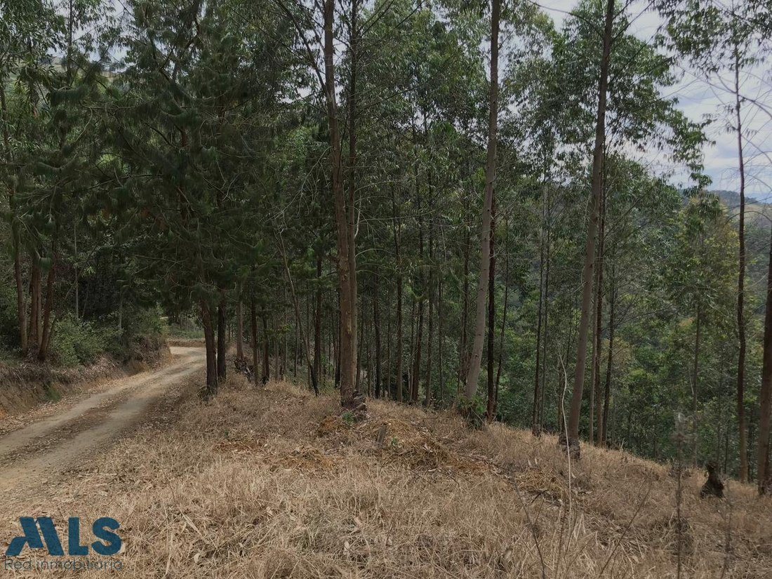 Land in Medellín, Antioquia, Colombia 1 - 17020215