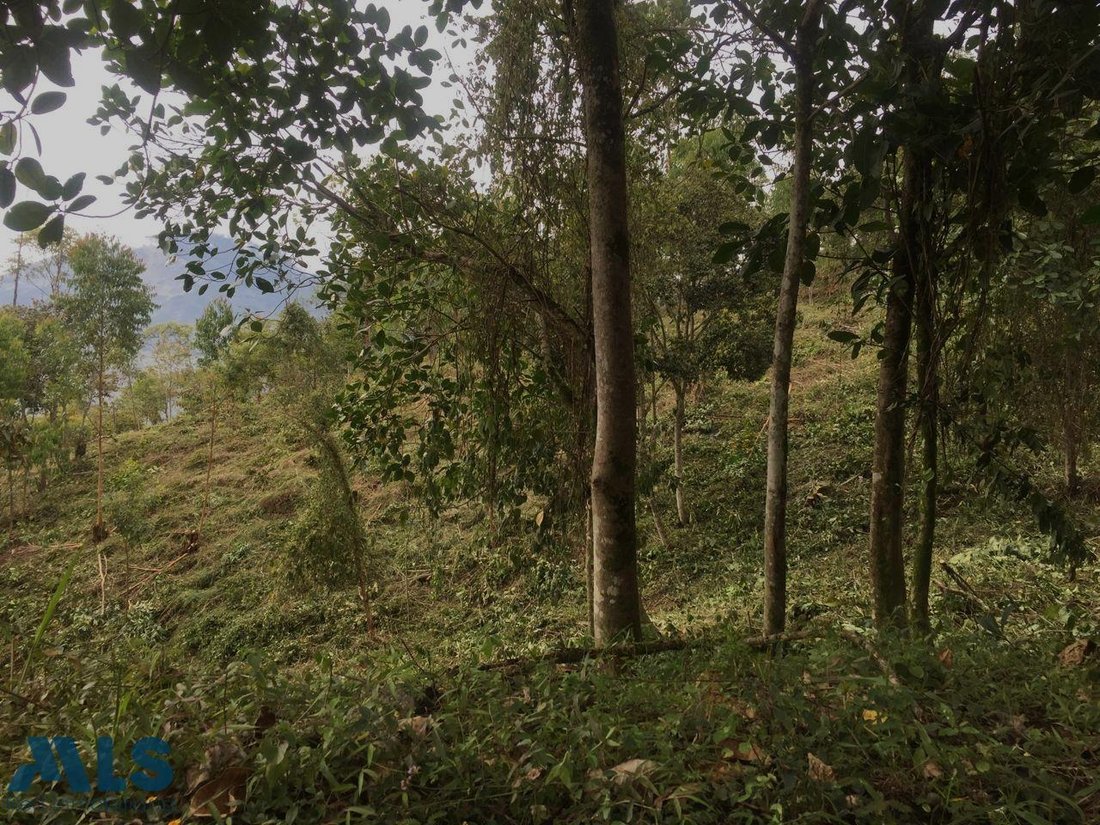 Land in Medellín, Antioquia, Colombia 4 - 17020215