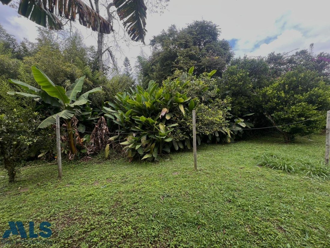 Land in Pueblo Viejo, Antioquia, Colombia 1 - 17020204