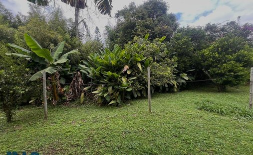 Land in Pueblo Viejo, Antioquia, Colombia 1