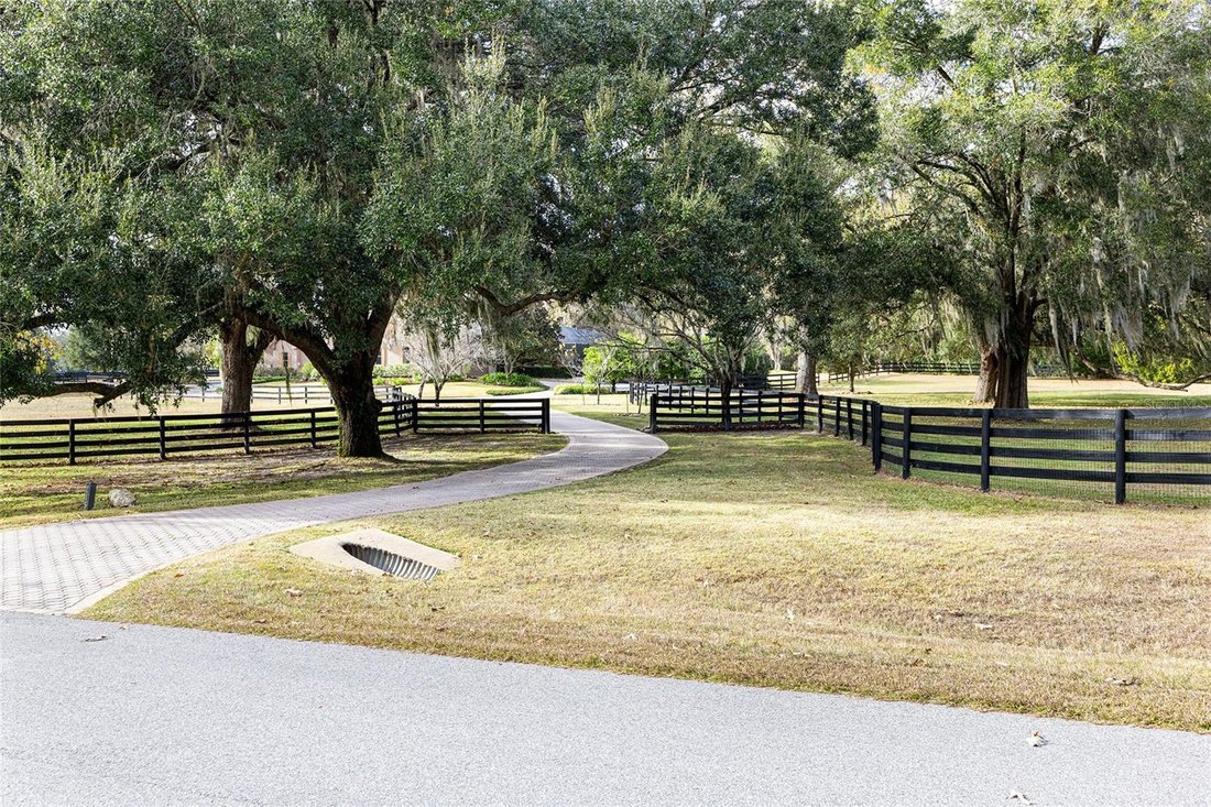 Farm Ranch in Ocala, Florida, United States 4 - 17038494