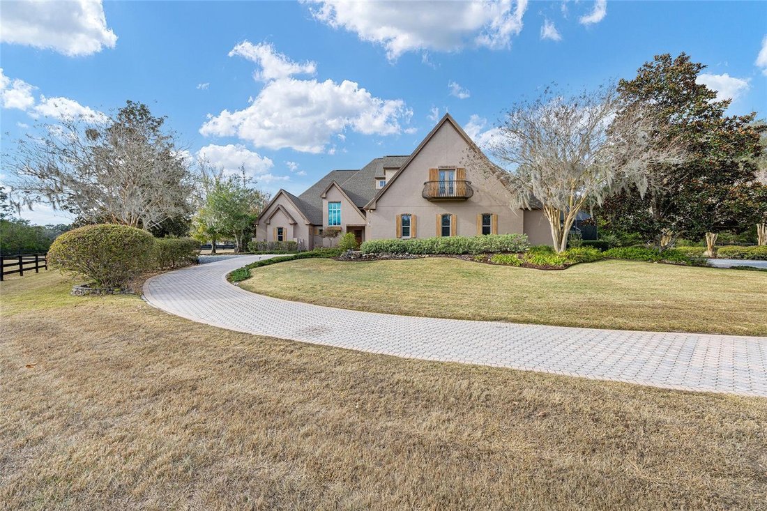 Farm Ranch in Ocala, Florida, United States 5 - 17038494