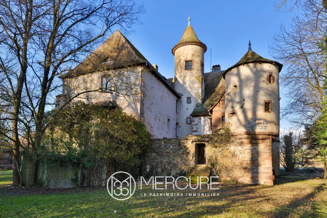 Castle in Hartmannswiller, Grand Est, France 1 - 15584669