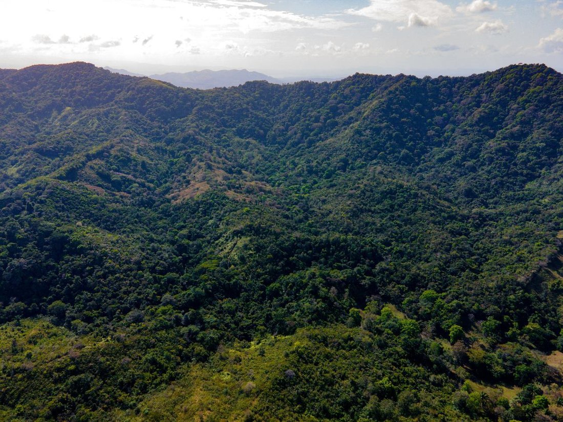 Finca in Buena Vista, Colón Province, Panama 3 - 17025174
