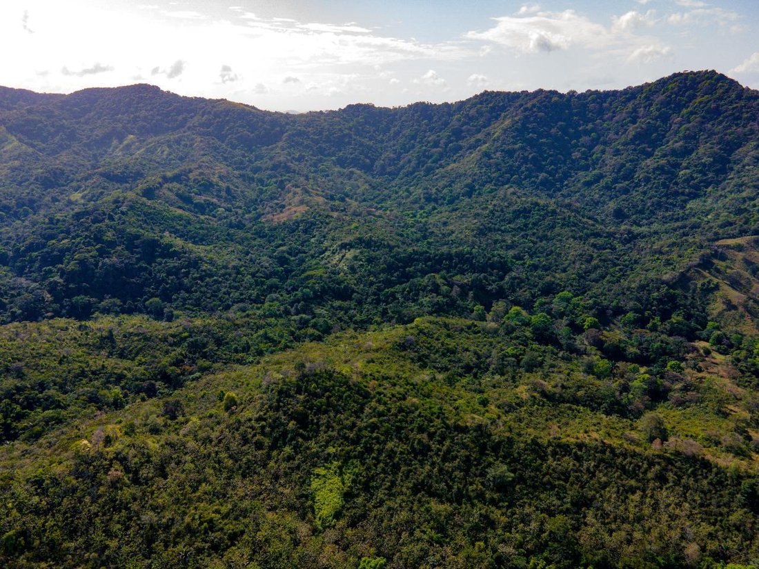 Finca in Buena Vista, Colón Province, Panama 2 - 17025174