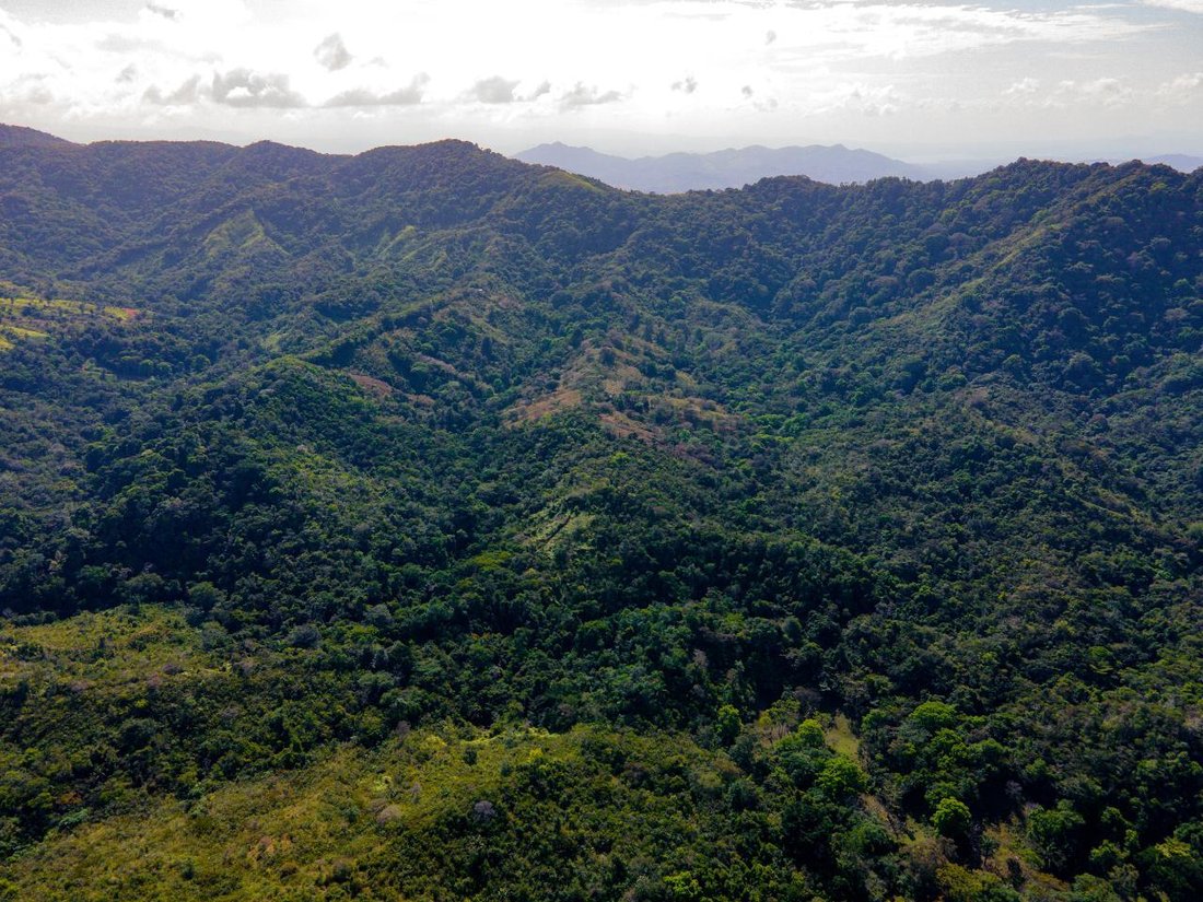 Finca in Buena Vista, Colón Province, Panama 5 - 17025174