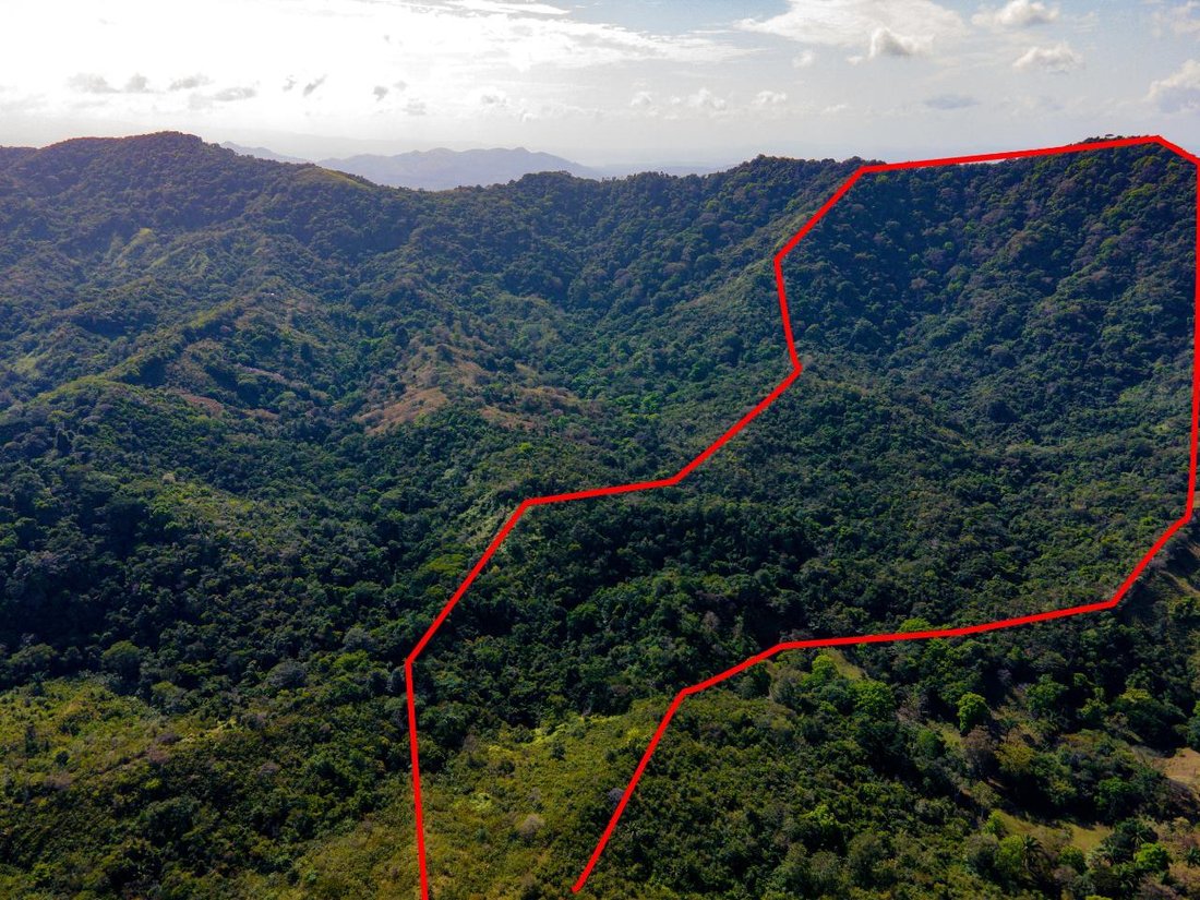Finca in Buena Vista, Colón Province, Panama 4 - 17025174