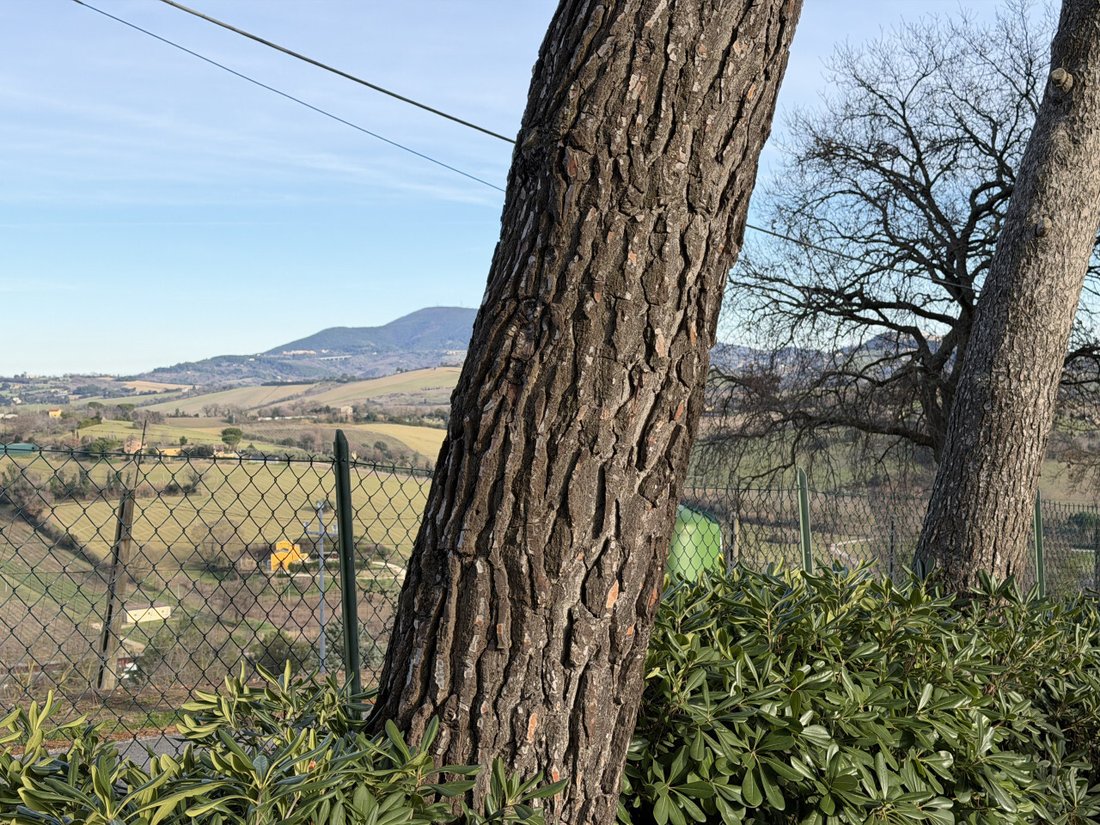 Villa in Candia - Aspio - Baraccola, Ancona, Marche 5 - 17023858