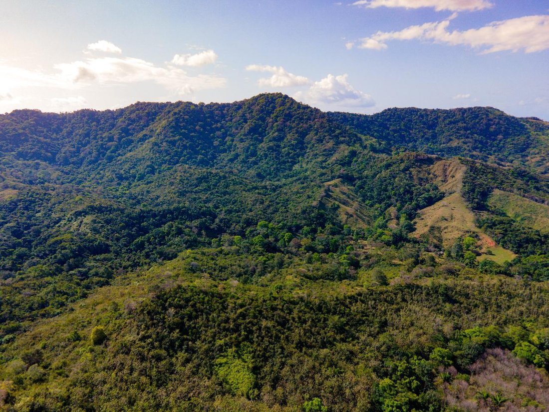 Finca in Buena Vista, Colón Province, Panama 1 - 17025174