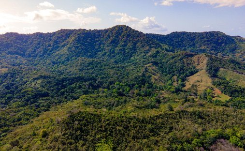 Finca à Buena Vista, Colón, Panama 1