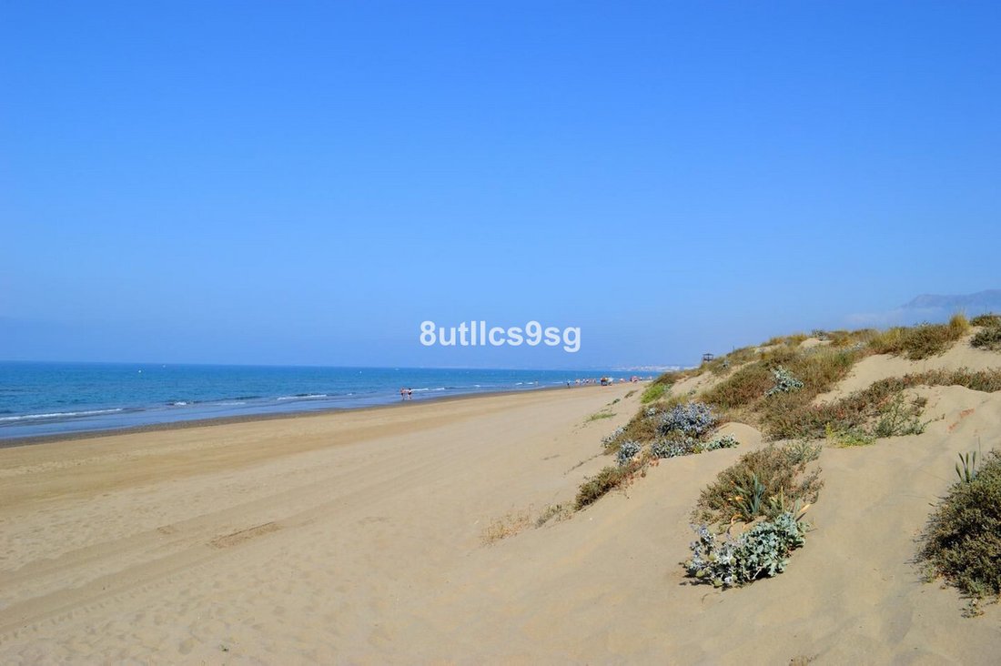 Apartment in Estepona, Andalusia, Spain 4 - 17024894