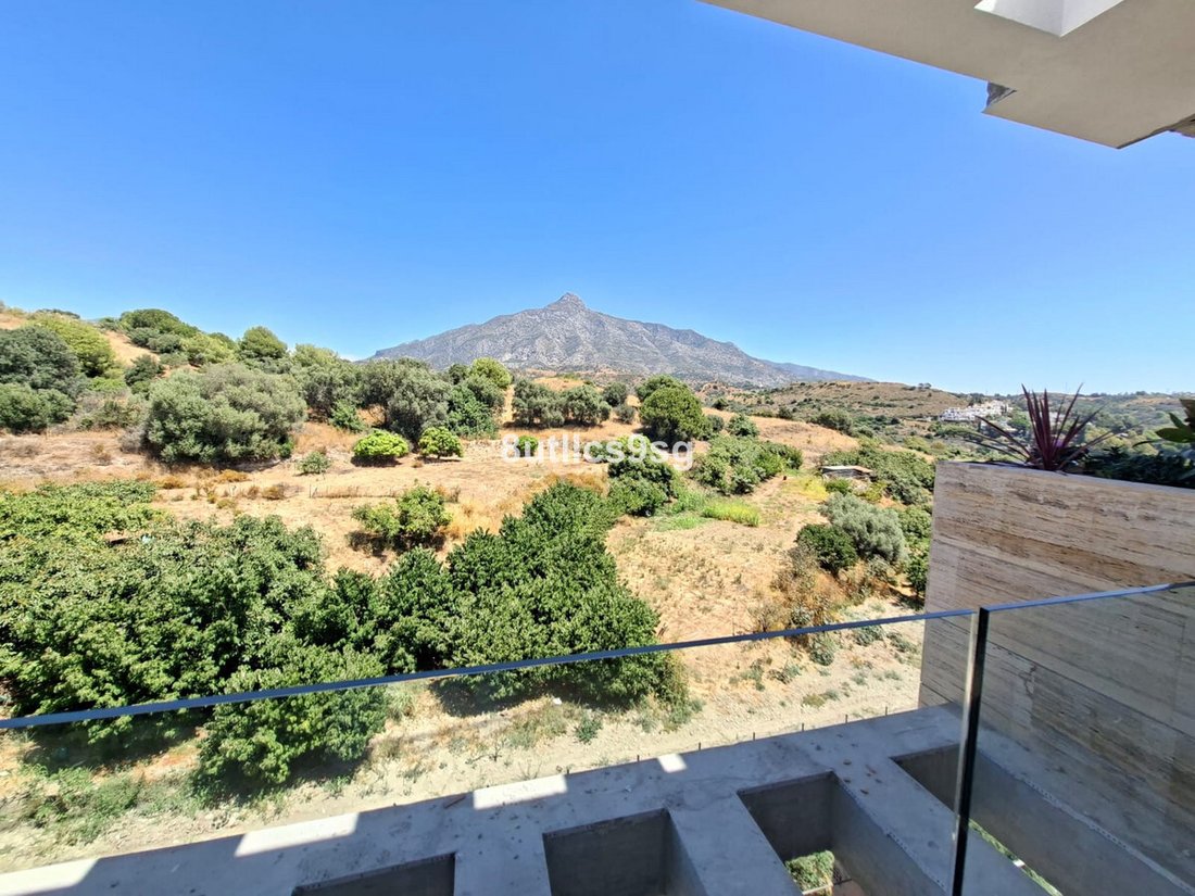 Apartment in Centro, Malaga, Spain 1 - 17026427