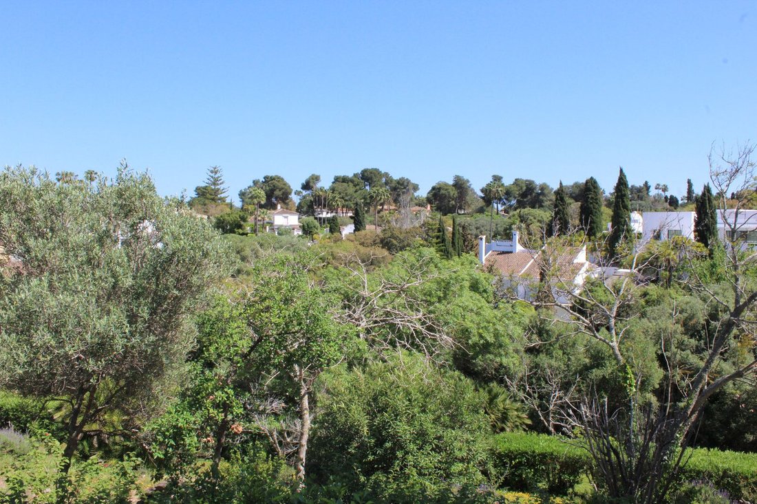 Villa in Sotogrande, San Roque, Andalusia 2 - 17025297