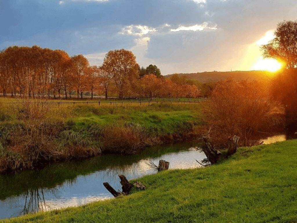 Farm Ranch in Nottingham Road, KwaZulu-Natal, South Africa 3 - 17023875